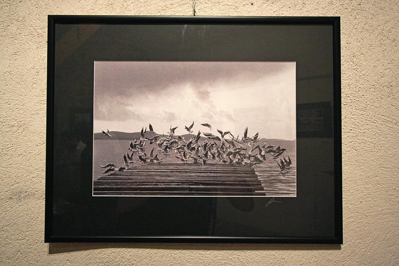 Izložba fotografija Željka Mršića “Rani Radovi”