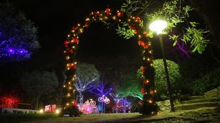 Perivoj Jelene Madijevke na trgu Pet bunara dobio je novo bozicno ruho. Photo: Filip Brala/PIXSELL Perivoj Jelene Madijevke na trgu Pet bunara dobio je novo bozicno ruho. Photo: Filip Brala/PIXSELL