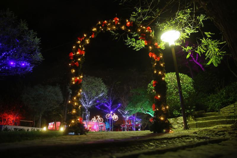 Perivoj Jelene Madijevke na trgu Pet bunara dobio je novo bozicno ruho. Photo: Filip Brala/PIXSELL Perivoj Jelene Madijevke na trgu Pet bunara dobio je novo bozicno ruho. Photo: Filip Brala/PIXSELL
