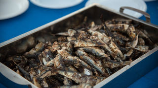 16. Biogradska noć privukla više od 20 tisuća posjetitelja . Photo: Vinko Pešić 16. Biogradska noć privukla više od 20 tisuća posjetitelja . Photo: Vinko Pešić