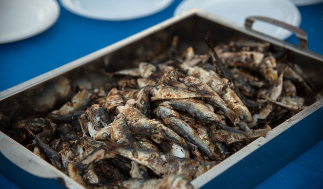 16. Biogradska noć privukla više od 20 tisuća posjetitelja . Photo: Vinko Pešić