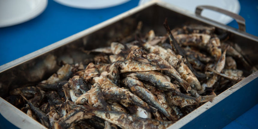 16. Biogradska noć privukla više od 20 tisuća posjetitelja . Photo: Vinko Pešić 16. Biogradska noć privukla više od 20 tisuća posjetitelja . Photo: Vinko Pešić