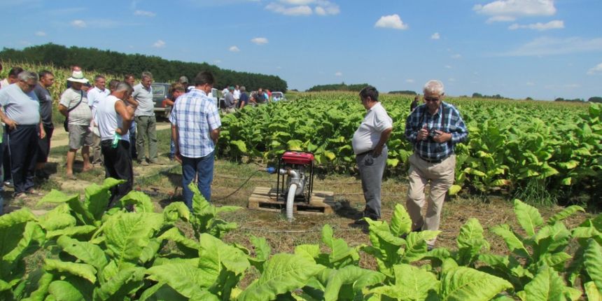 Dan polja duhana Dan polja duhana