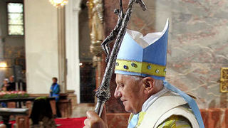 Image 1183749 (auto)