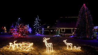 Cazma, 171210.
Grabovnica pokraj Cazme.
Imanje obitelji Salaj.
Predsjednica Vlade Jadranka Kosor svecano je upalili lampice na imanju obitelji Salaj u okviru Bozicne price u Cazmi.
Na imanju je ove godine upaljeno 1100000 lampica.
Prigodom otvorenja bio j