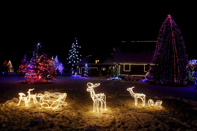 Cazma, 171210.
Grabovnica pokraj Cazme.
Imanje obitelji Salaj.
Predsjednica Vlade Jadranka Kosor svecano je upalili lampice na imanju obitelji Salaj u okviru Bozicne price u Cazmi.
Na imanju je ove godine upaljeno 1100000 lampica.
Prigodom otvorenja bio j