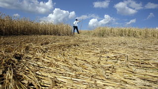 Cakovec, 280610.
Izmedju mjesta Donji Koncovscak i Sveti Martin na Muri u zitu pojavili su se misteriozni krugovi. Mjestani okolnih kuca ne vjeruju da se radi o vanzemaljcima, vec da je rijec o sali lokalnih mjestana.
Foto: Zeljko Hajdinjak / CROPIX Cakovec, 280610.
Izmedju mjesta Donji Koncovscak i Sveti Martin na Muri u zitu pojavili su se misteriozni krugovi. Mjestani okolnih kuca ne vjeruju da se radi o vanzemaljcima, vec da je rijec o sali lokalnih mjestana.
Foto: Zeljko Hajdinjak / CROPIX
