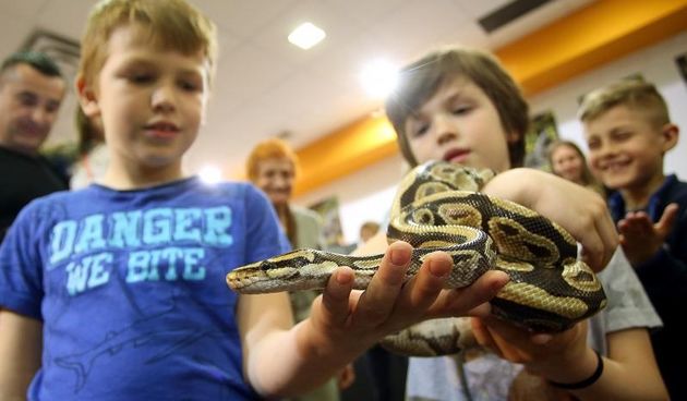 Najotrovnije zmije svijeta