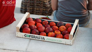 Večernji đir po gradu 30. srpnja 2019.