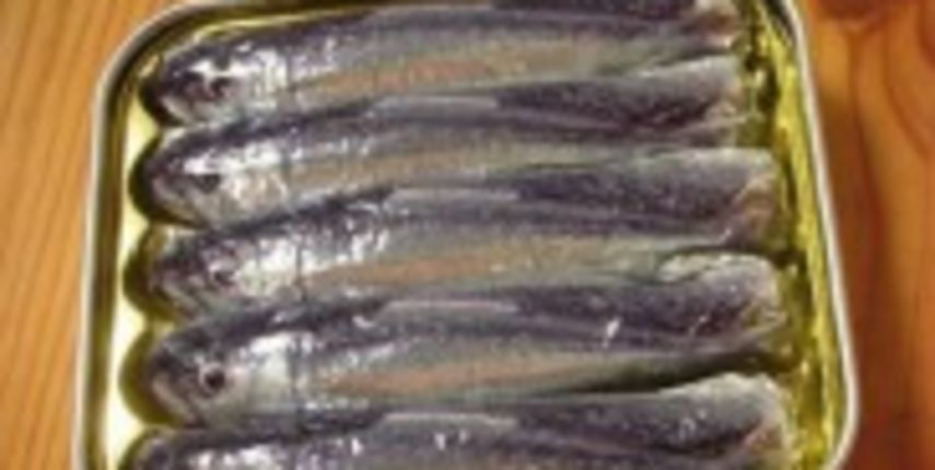 Sardine (foto:metro-portal.hr ) Sardine (foto:metro-portal.hr )