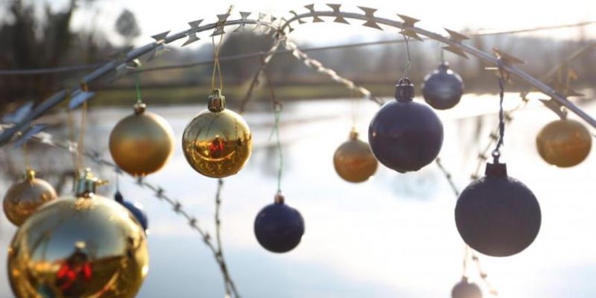 Image 378773 (auto) Image 378773 (auto)