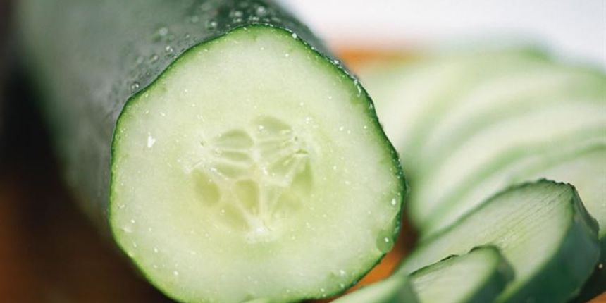 Krastavac, foto: tportal.hr Krastavac, foto: tportal.hr