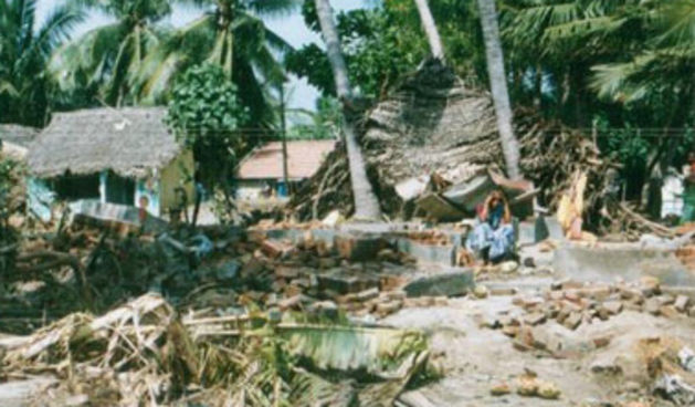 Tsunami – šteta (Foto: worldaccord.org)