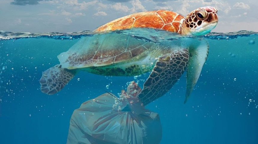 mikroplastika mikroplastika