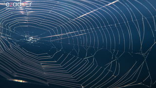 Nedjeljno svitanje na Vranskom jezeru Nedjeljno svitanje na Vranskom jezeru