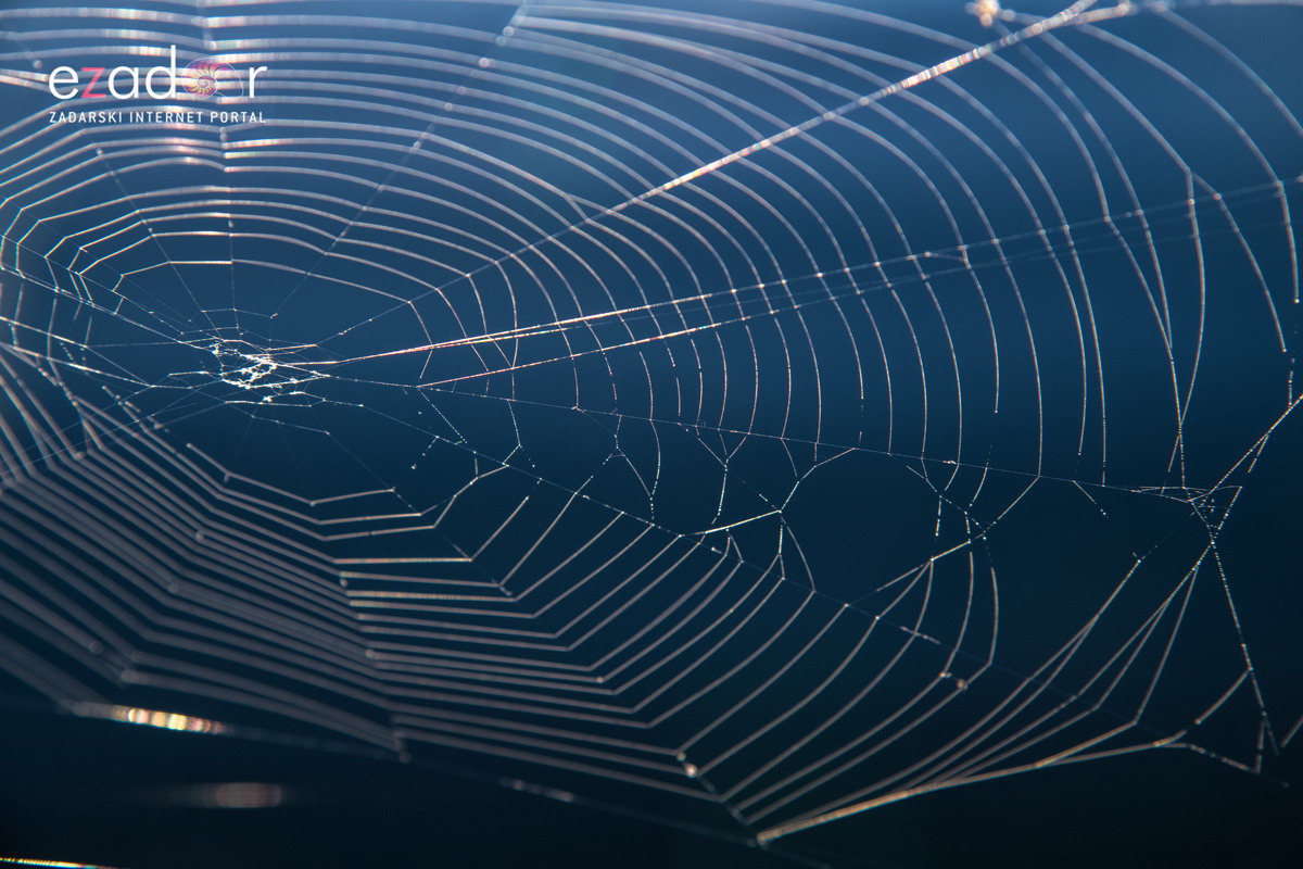 Nedjeljno svitanje na Vranskom jezeru Nedjeljno svitanje na Vranskom jezeru