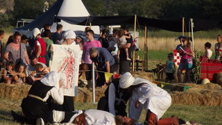 Dani vitezova vranskih, 19. srpnja 2014.