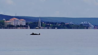 Image 441275 (auto) Image 441275 (auto)