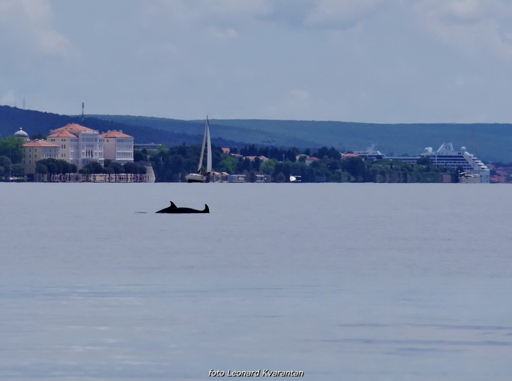 Image 441275 (auto) Image 441275 (auto)