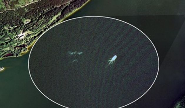 Čudoviše iz Loch Nessa, Foto: Google Earth