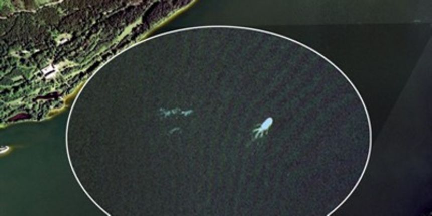 Čudoviše iz Loch Nessa, Foto: Google Earth