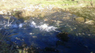 Krška rijela Karišnica. Foto: Edvard Šprljan Krška rijela Karišnica. Foto: Edvard Šprljan