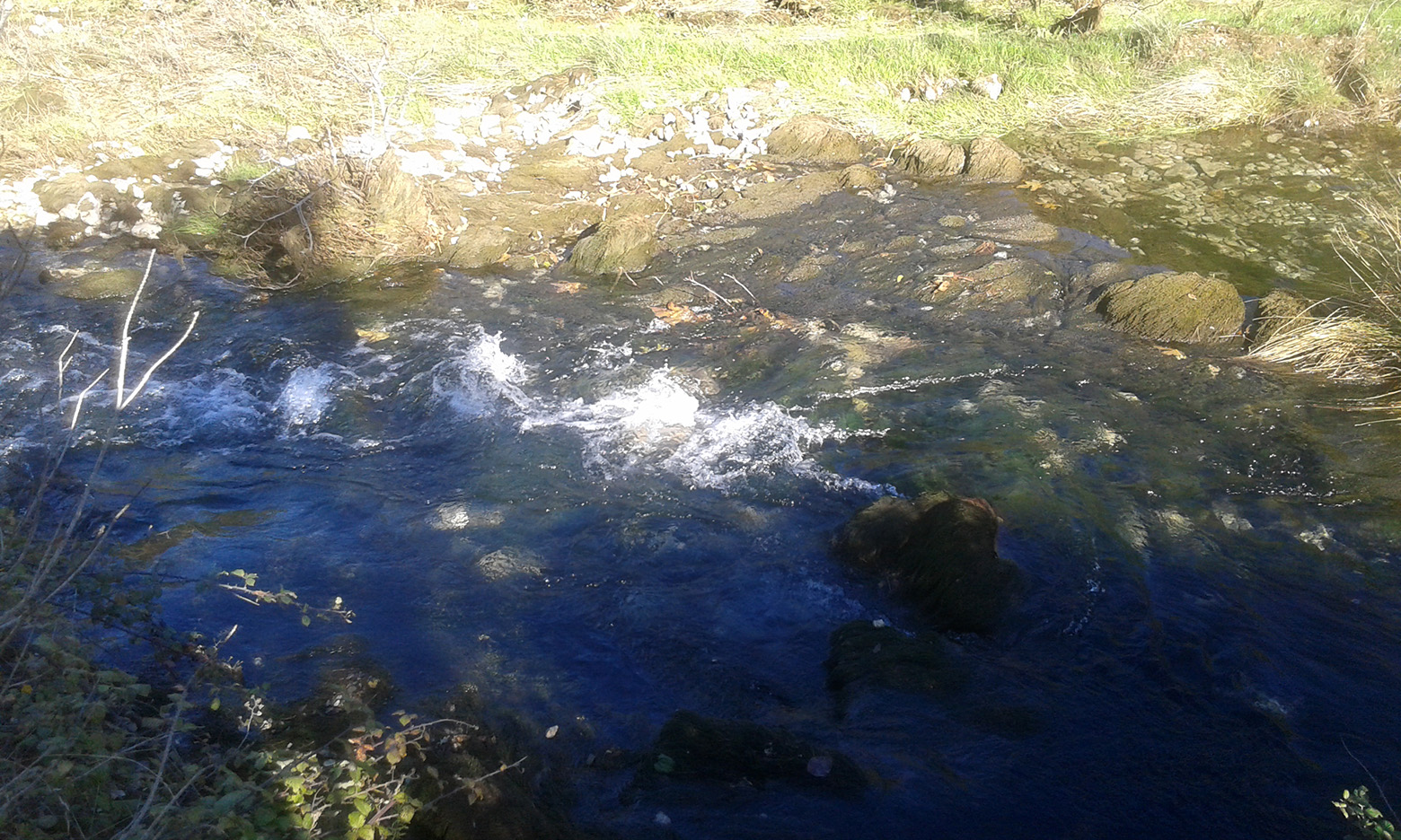 Krška rijela Karišnica. Foto: Edvard Šprljan Krška rijela Karišnica. Foto: Edvard Šprljan