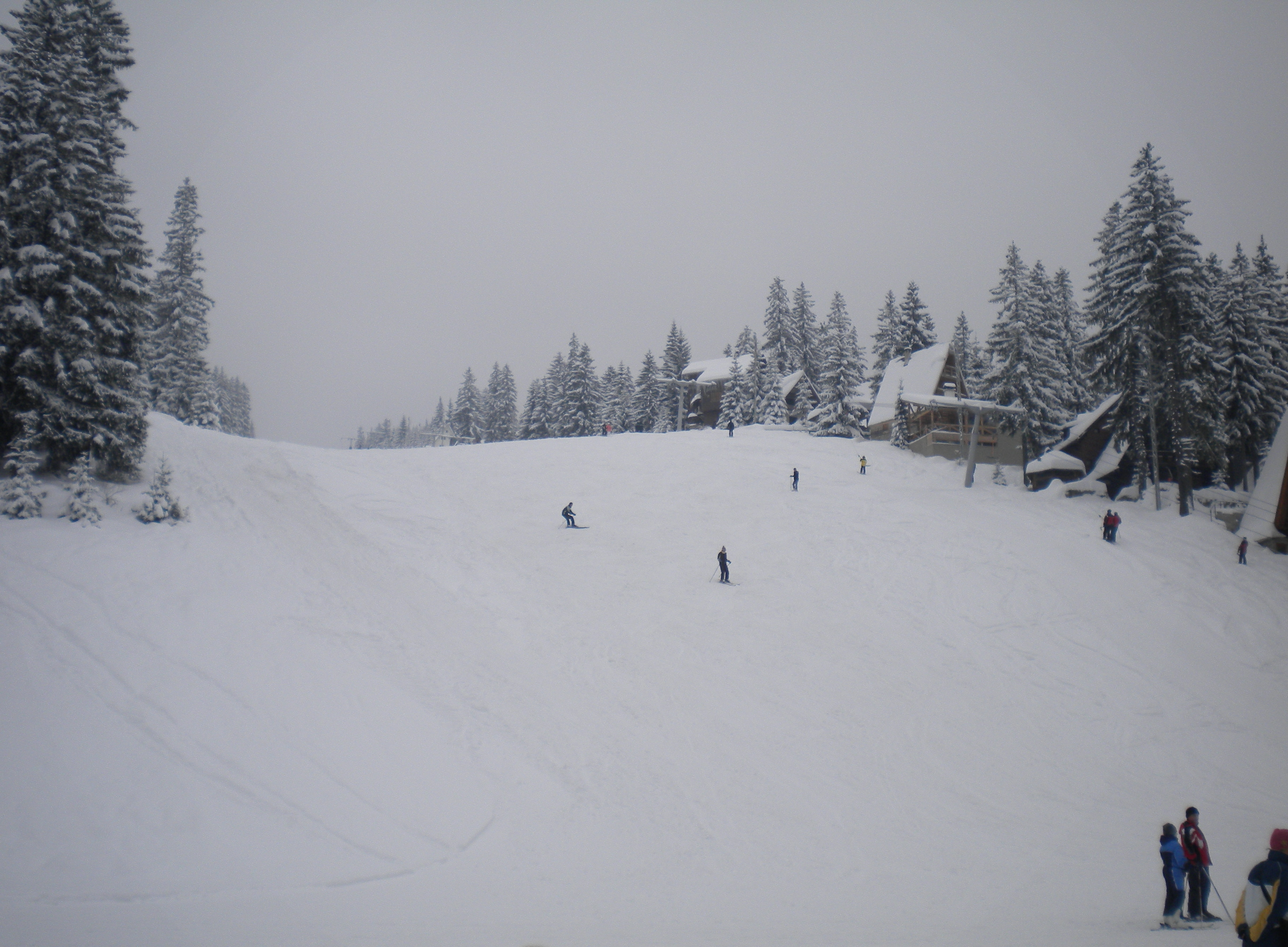 Vlašići BiH, 13. 02. 2010.