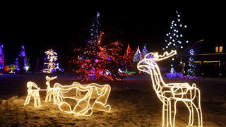 Cazma, 171210.
Grabovnica pokraj Cazme.
Imanje obitelji Salaj.
Predsjednica Vlade Jadranka Kosor svecano je upalila lampice na imanju obitelji Salaj u okviru Bozicne price u Cazmi.
Na imanju je ove godine upaljeno 1100000 lampica.
Prigodom otvorenja bio j