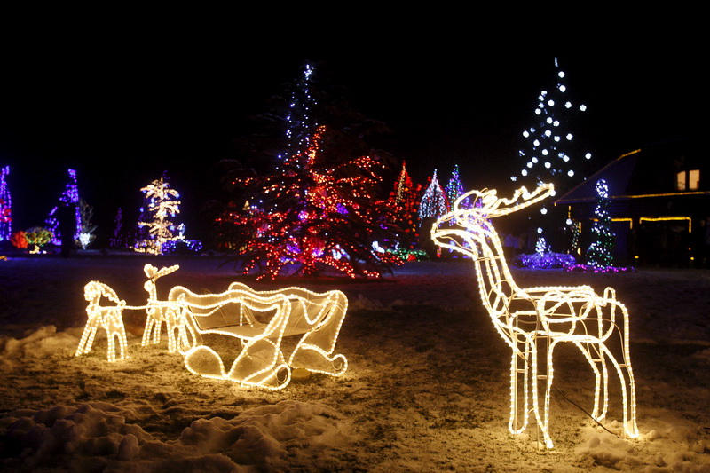 Cazma, 171210.
Grabovnica pokraj Cazme.
Imanje obitelji Salaj.
Predsjednica Vlade Jadranka Kosor svecano je upalila lampice na imanju obitelji Salaj u okviru Bozicne price u Cazmi.
Na imanju je ove godine upaljeno 1100000 lampica.
Prigodom otvorenja bio j