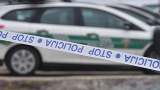 Pronađeno tijelo nestalog pilota i olupina helikoptera