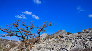 Izlet u Libinje 6. travnja 2011, Foto: Leo Banic