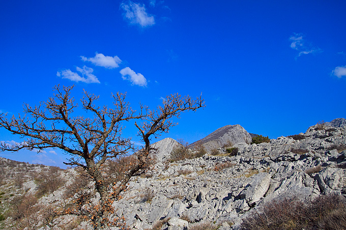 Izlet u Libinje 6. travnja 2011, Foto: Leo Banic