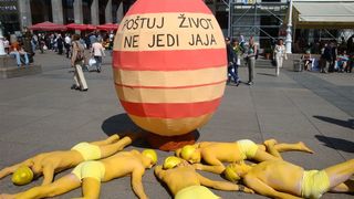 Akcija “Iz ljuske jajeta u plinsku komoru” Akcija “Iz ljuske jajeta u plinsku komoru”