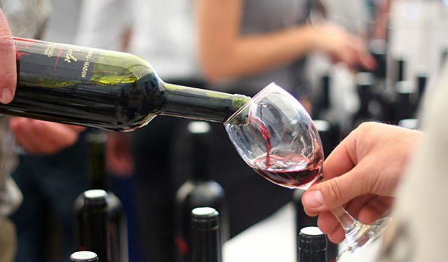 Donat wine festival 2011 (foto:Saša Čuka)