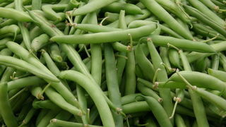 Image 1207677 (auto)