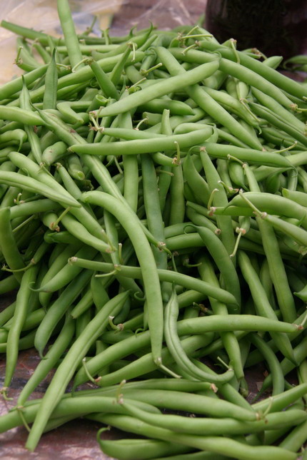 Image 1207677 (auto)