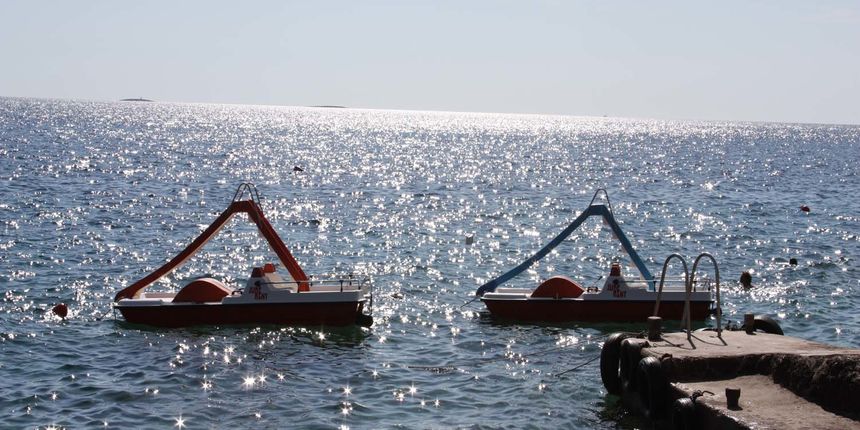 Pedalina, foto: .spila.org