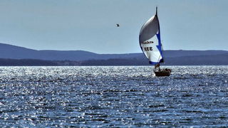 Zadarska regata 2013, Foto: Leonard Kvarantan