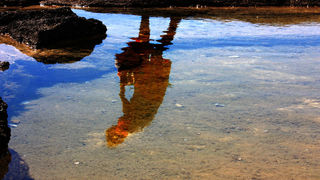 Image 1117653 (auto)