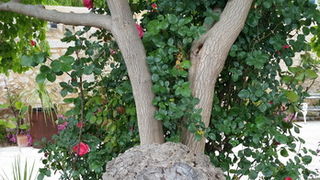 1.svibnja u Skradinu i NP Krka, Foto: Mladen Malik