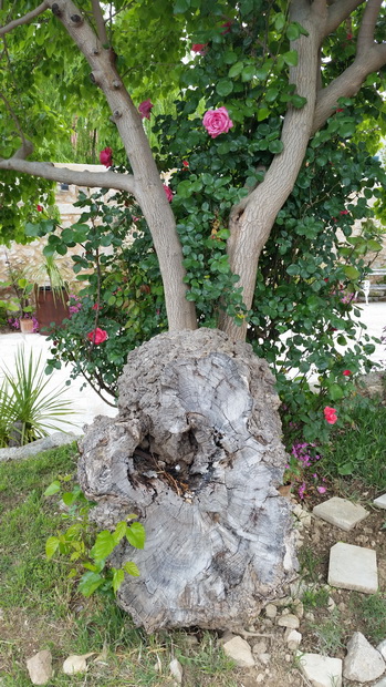 1.svibnja u Skradinu i NP Krka, Foto: Mladen Malik