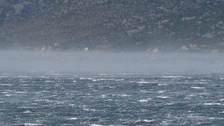 Image 1177869 (auto)
