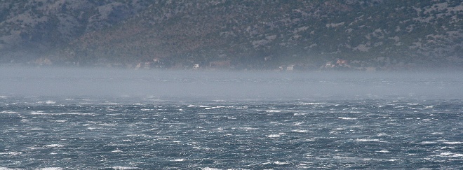 Image 1177869 (auto)