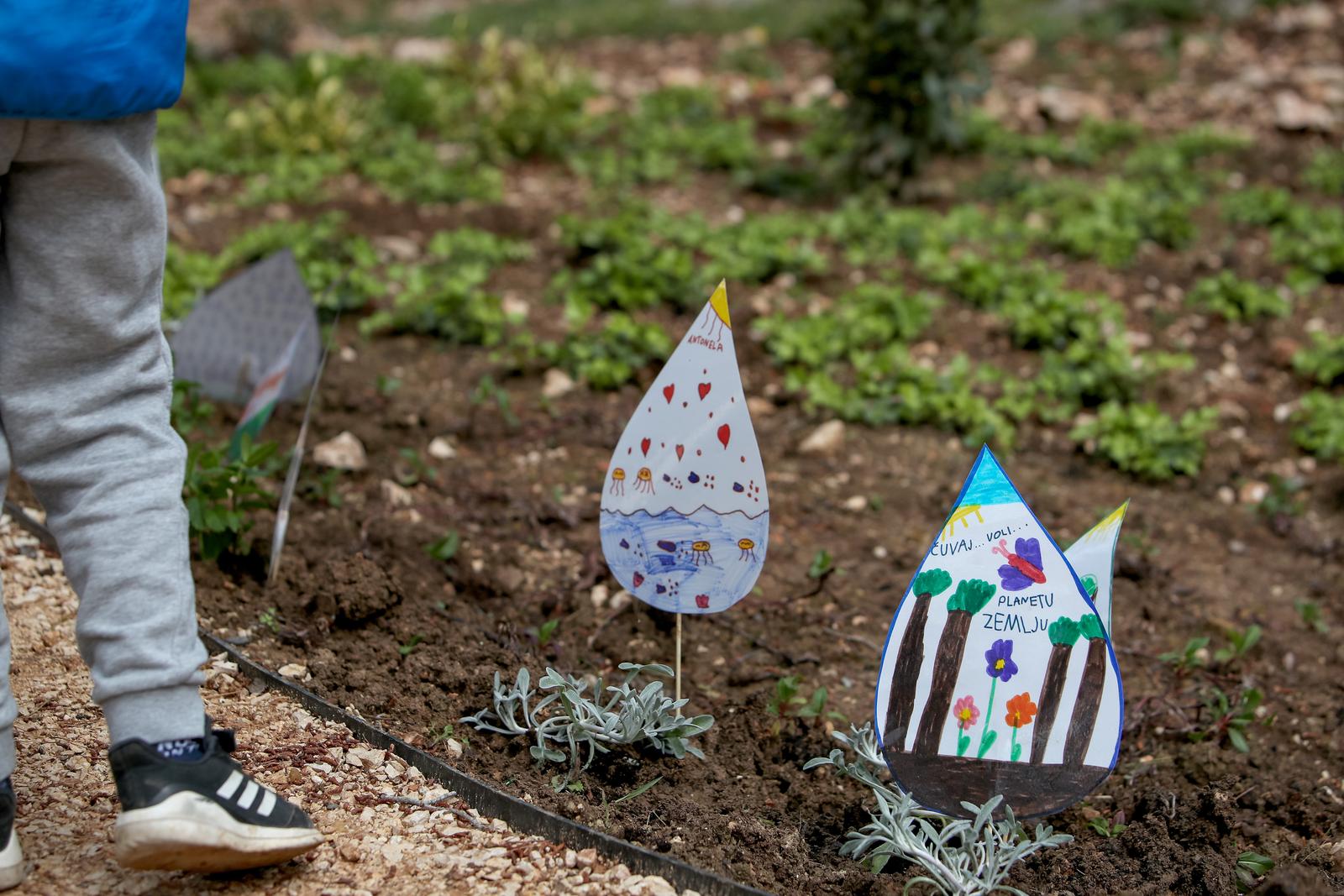 U Vruljici uređen Kišni vrt U Vruljici uređen Kišni vrt