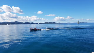 Zadarska Koka 2016. 22. listopada 2016. Foto: Mladen Malik Zadarska Koka 2016. 22. listopada 2016. Foto: Mladen Malik