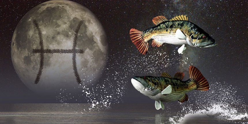 Horoskop Riba, Ribe Horoskop Riba, Ribe