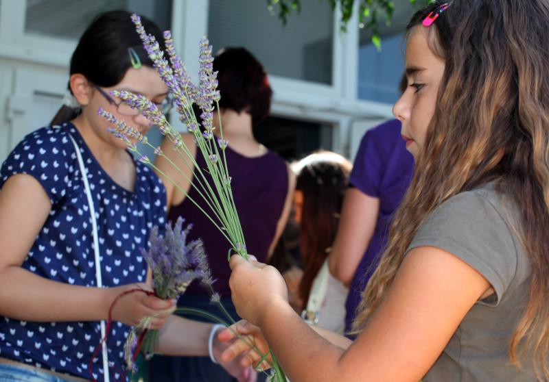 03.07.2013., Zadar – Na djecjem odjelu u dvoristu Gradske knjiznice Zadar djeca izradjuju strucke i jastucice od lavande. Radionicu vodi gospodja Jadranka Plantak. Photo: Zeljko Mrsic/PIXSELL 03.07.2013., Zadar – Na djecjem odjelu u dvoristu Gradske knjiznice Zadar djeca izradjuju strucke i jastucice od lavande. Radionicu vodi gospodja Jadranka Plantak. Photo: Zeljko Mrsic/PIXSELL