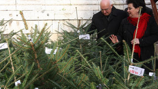 nadbiskup ivan prendja, narodni trg