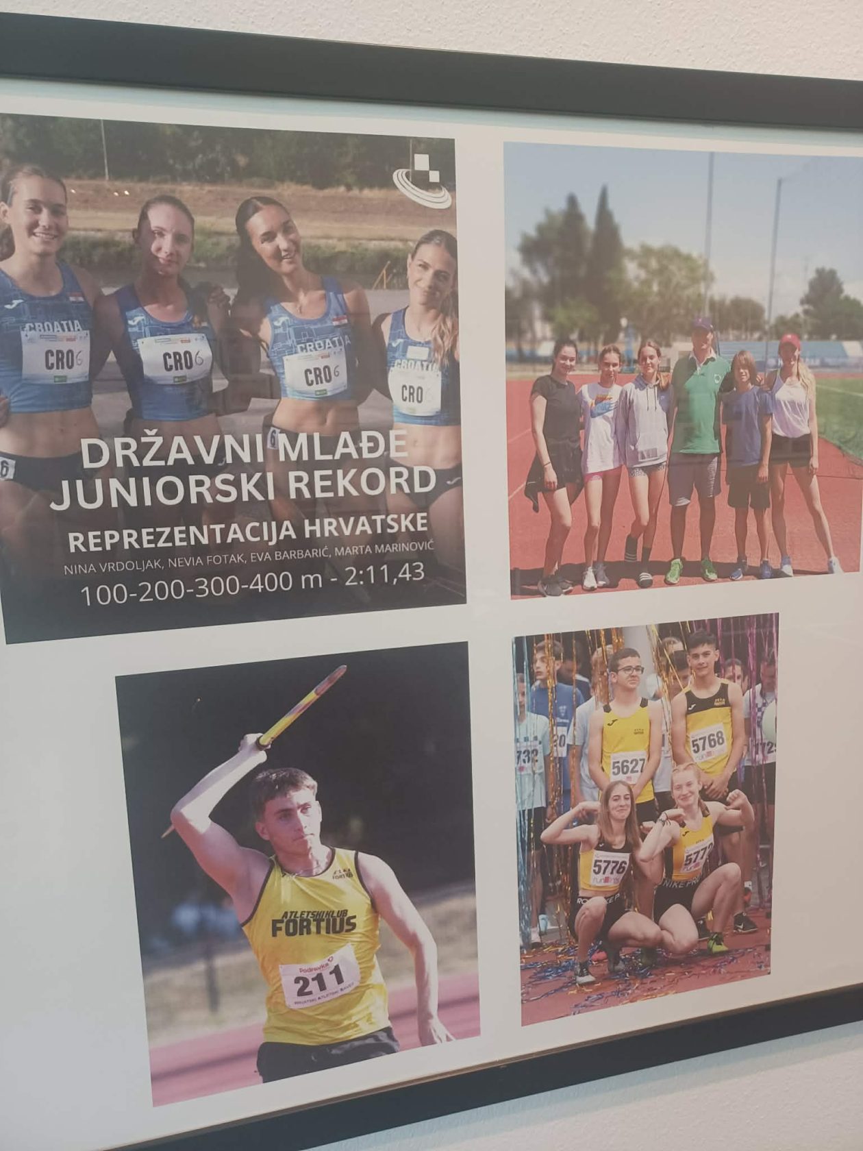 Zadarska atletika, plivanje, vaterpolo i skokovi u vodu iznjedrili su niz istaknutih sportašica i sportaša